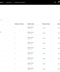 Alternative view of SoundOn Music Distribution Account – Release Music & Keep 100% Royalties